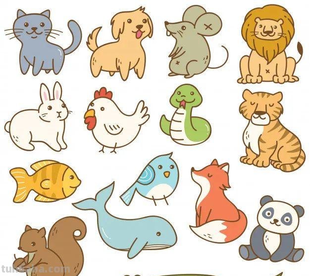 10分钟就能学会的100种海底动物大全！超萌超有趣！千万不能错过