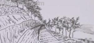 农田怎么画简笔画 儿童简单稻田绘画？