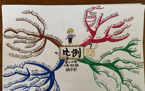 怎么容易学思维导图 如何零基础快速成为思维导图高手？