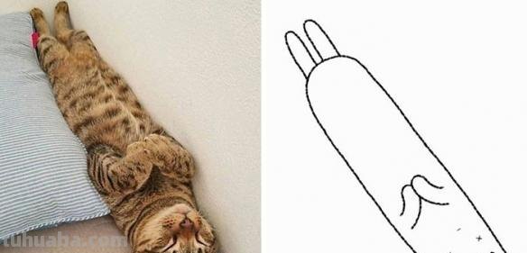 不要在意这些细节 推特画师分享魔性萌宠最简简笔画