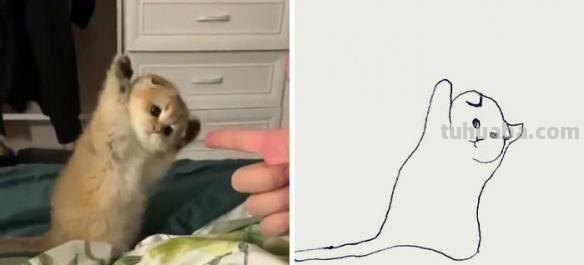 不要在意这些细节 推特画师分享魔性萌宠最简简笔画