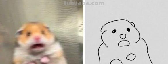 不要在意这些细节 推特画师分享魔性萌宠最简简笔画