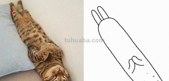 不要在意这些细节 推特画师分享魔性萌宠最简简笔画