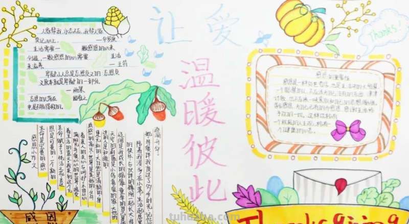 爱是什么的手抄报 爱是一抹阳光让人温暖仿写