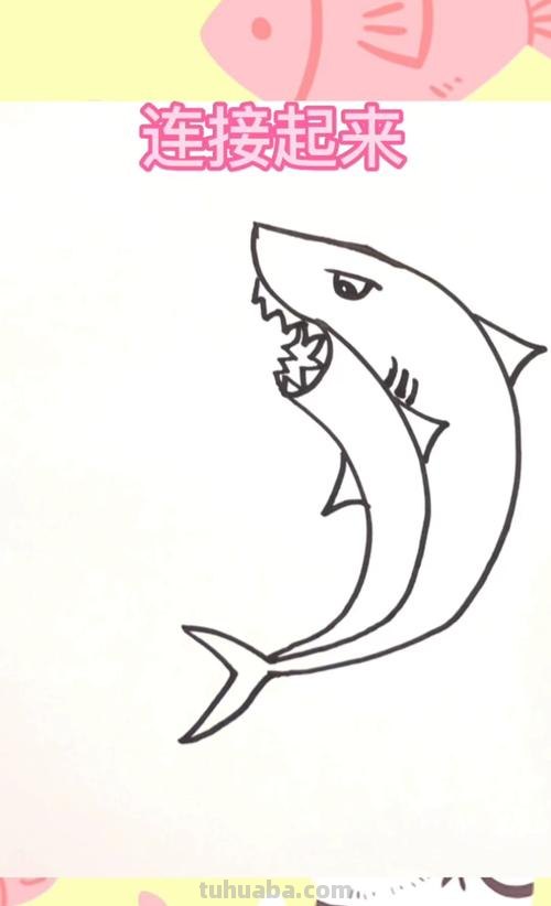 鲨鱼简笔画怎么画 鲨鱼简笔画怎么画简单又好看