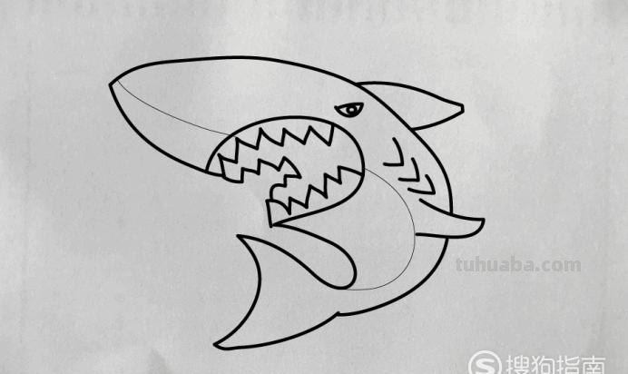 鲨鱼简笔画怎么画 鲨鱼简笔画怎么画简单又好看