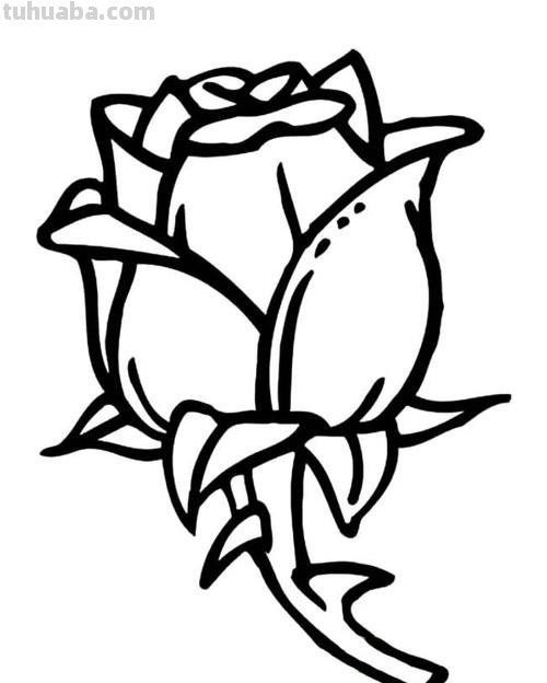 怎样画好看的玫瑰花简笔画 怎样画好看的玫瑰花简笔画图片