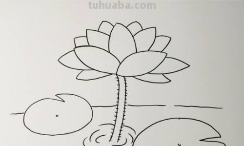 荷花怎么画简笔画又漂亮