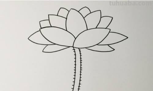 荷花怎么画简笔画又漂亮