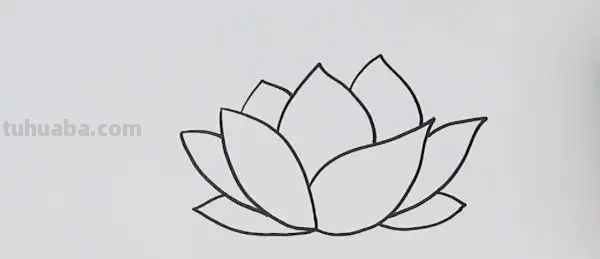 荷花的简笔画怎么画最好看又简单