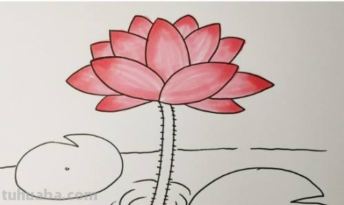 荷花怎么画简笔画又漂亮