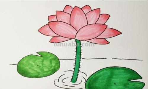 荷花怎么画简笔画又漂亮