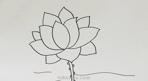 荷花的简笔画怎么画最好看又简单