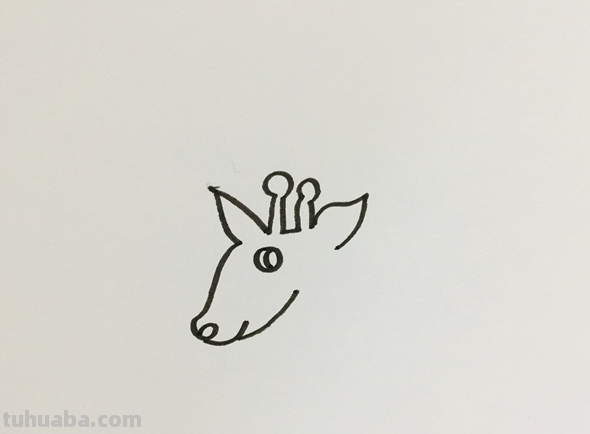 简笔长颈鹿的画法 简笔长颈鹿的画法