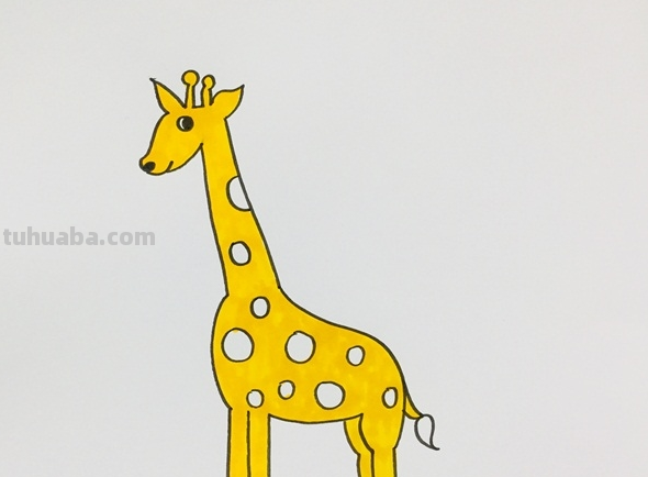 简笔长颈鹿的画法 简笔长颈鹿的画法
