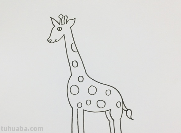 简笔长颈鹿的画法 简笔长颈鹿的画法