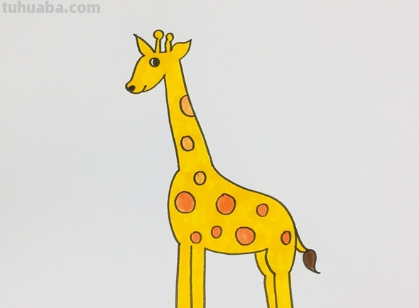 简笔长颈鹿的画法 简笔长颈鹿的画法