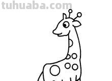 长颈鹿简笔画 长颈鹿简笔画
