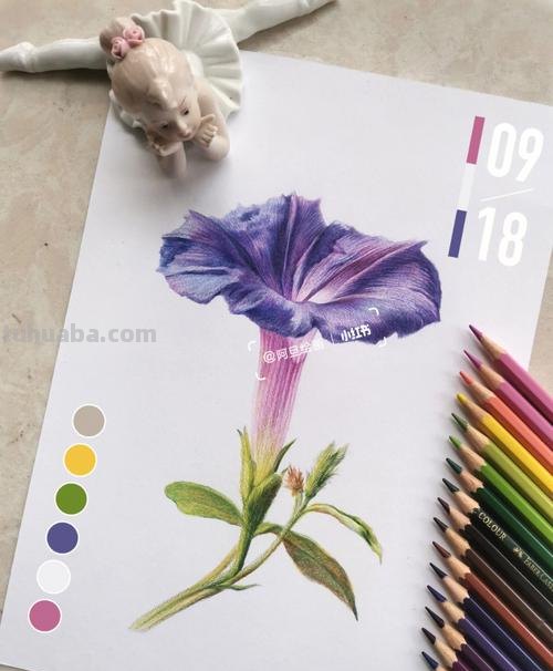 用彩铅画的花卉，也太好看了吧