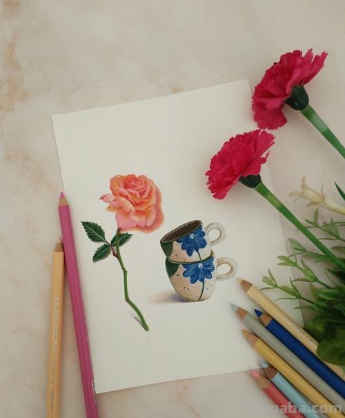 玫瑰花那么美，用彩铅画出来更美