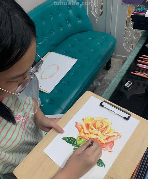 玫瑰花那么美，用彩铅画出来更美