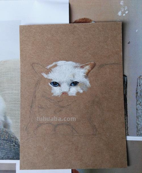 画在牛皮纸上的彩铅画，每一张都是超棒的学习素材