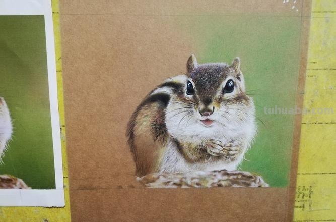 画在牛皮纸上的彩铅画，每一张都是超棒的学习素材