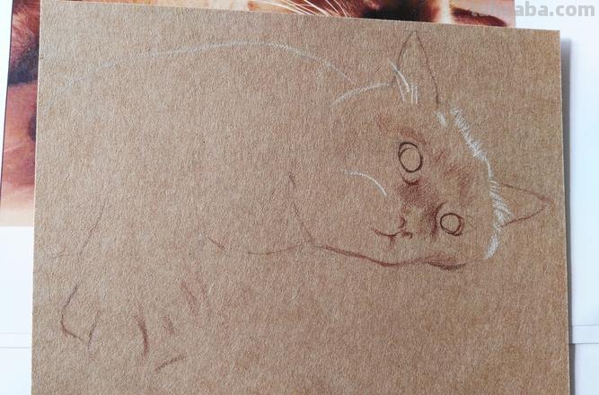 画在牛皮纸上的彩铅画，每一张都是超棒的学习素材