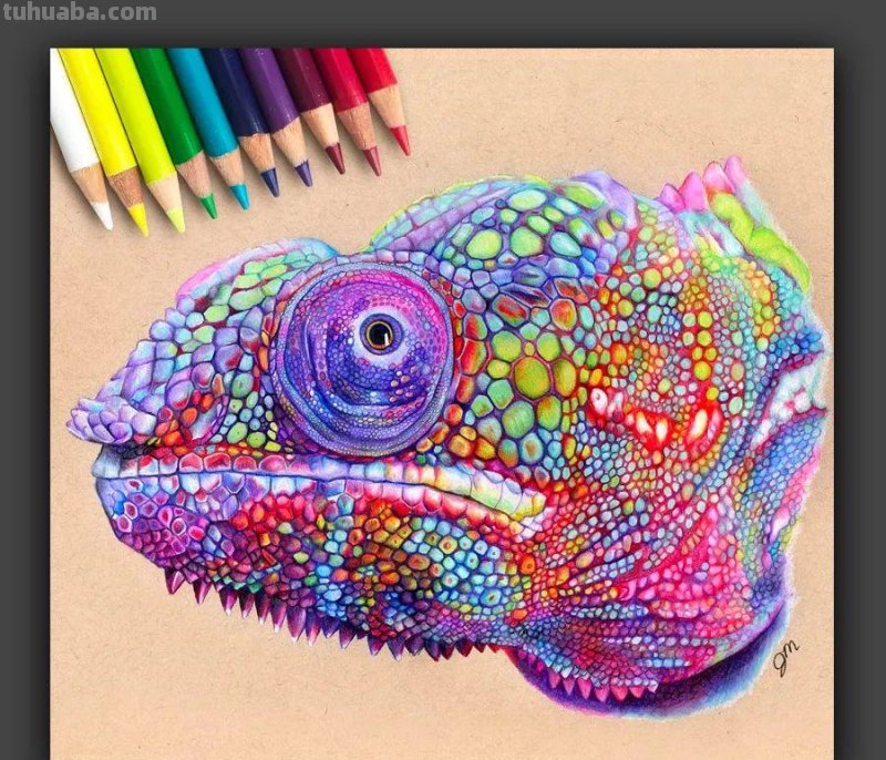 画在牛皮纸上的彩铅画，每一张都是超棒的学习素材