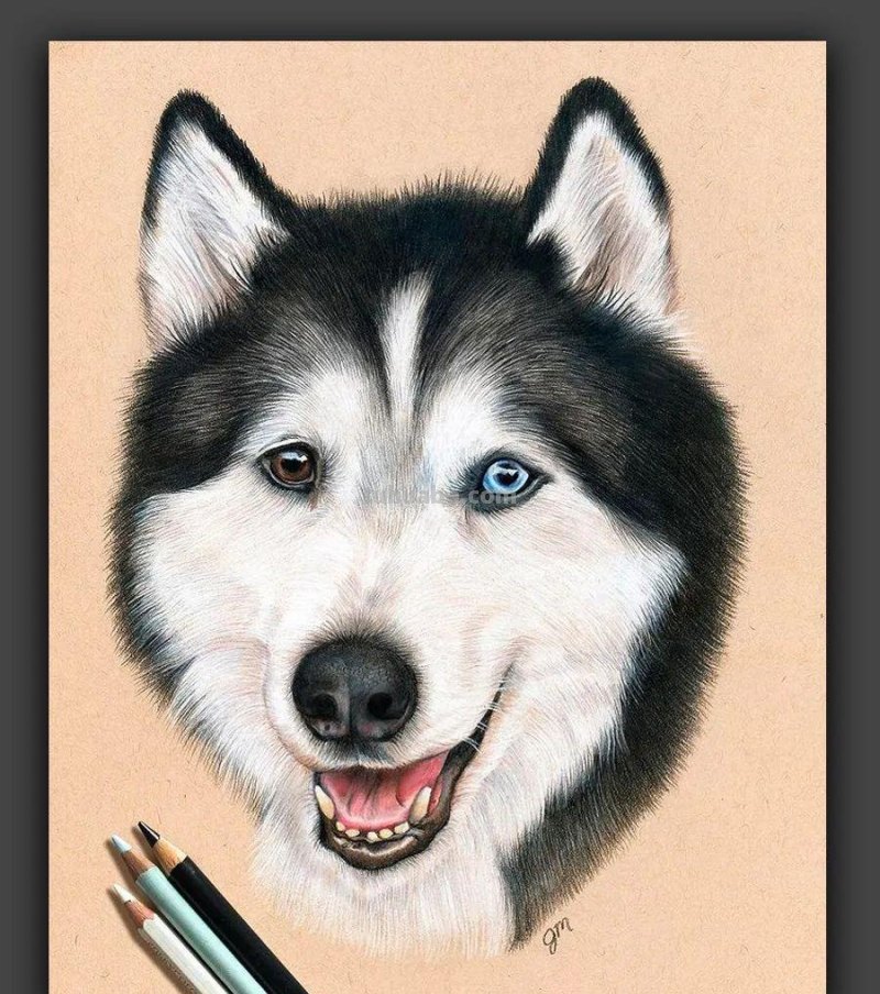 画在牛皮纸上的彩铅画，每一张都是超棒的学习素材