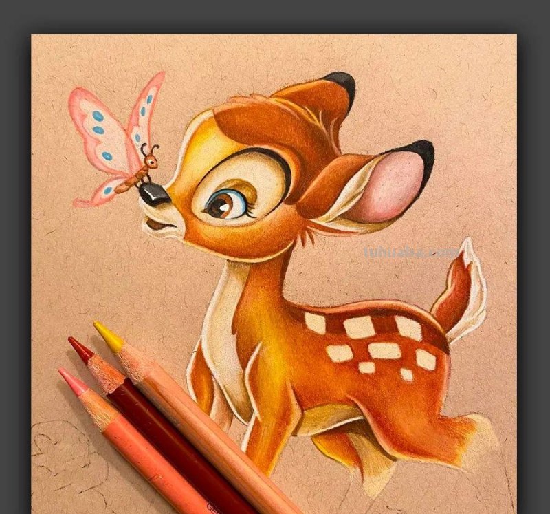 画在牛皮纸上的彩铅画，每一张都是超棒的学习素材