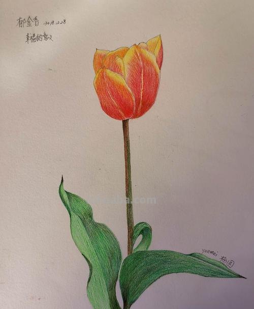 彩铅画17张！海美术机构老师作品－零基础都可以花好看，很简单！