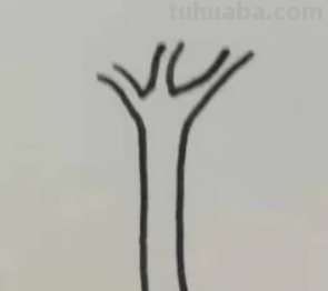 怎样画大树好看