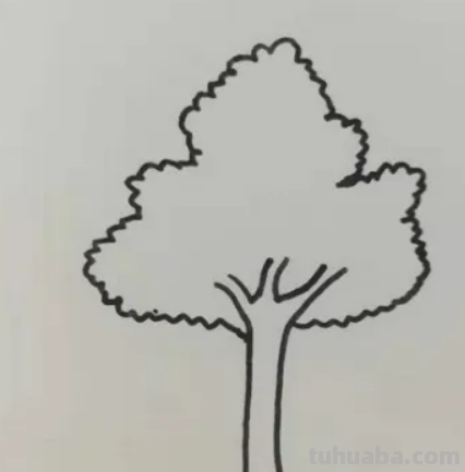 怎样画大树好看