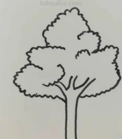 怎样画大树好看