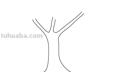 大树怎么画好看