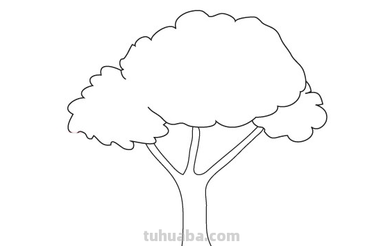 大树怎么画好看