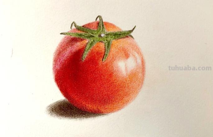 彩铅水果西红柿怎么画 水果蔬菜彩铅画教程？