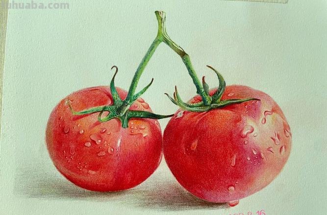 彩铅水果西红柿怎么画 水果蔬菜彩铅画教程？