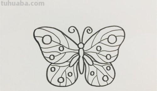 蝴蝶简笔画怎么画 蝴蝶简笔画怎么画颜色