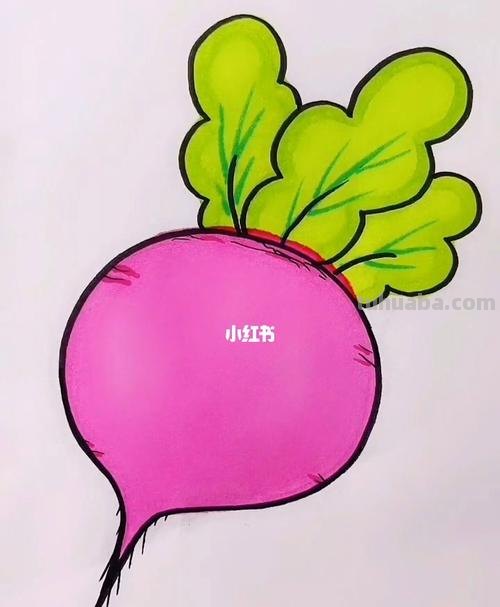 卡通萝卜简笔画 卡通萝卜简笔画图片