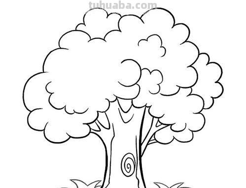 简笔画树怎么画 大树的简笔画怎么画？