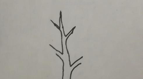 简笔画树怎么画 大树的简笔画怎么画？