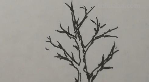 简笔画树怎么画 大树的简笔画怎么画？