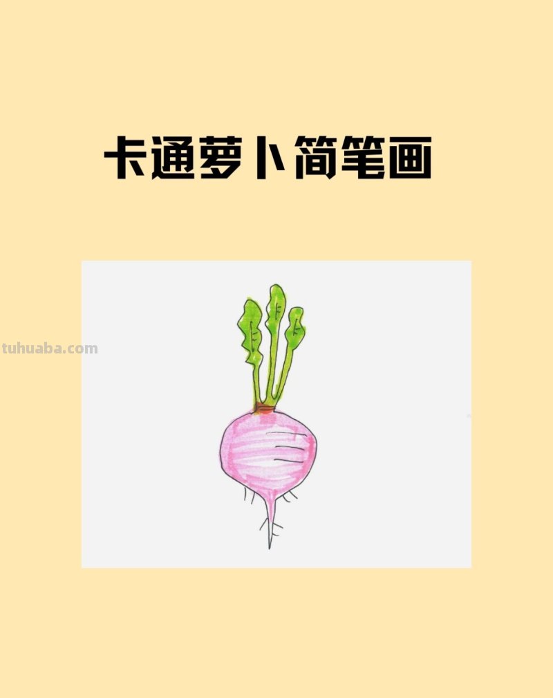 卡通萝卜简笔画画法图片