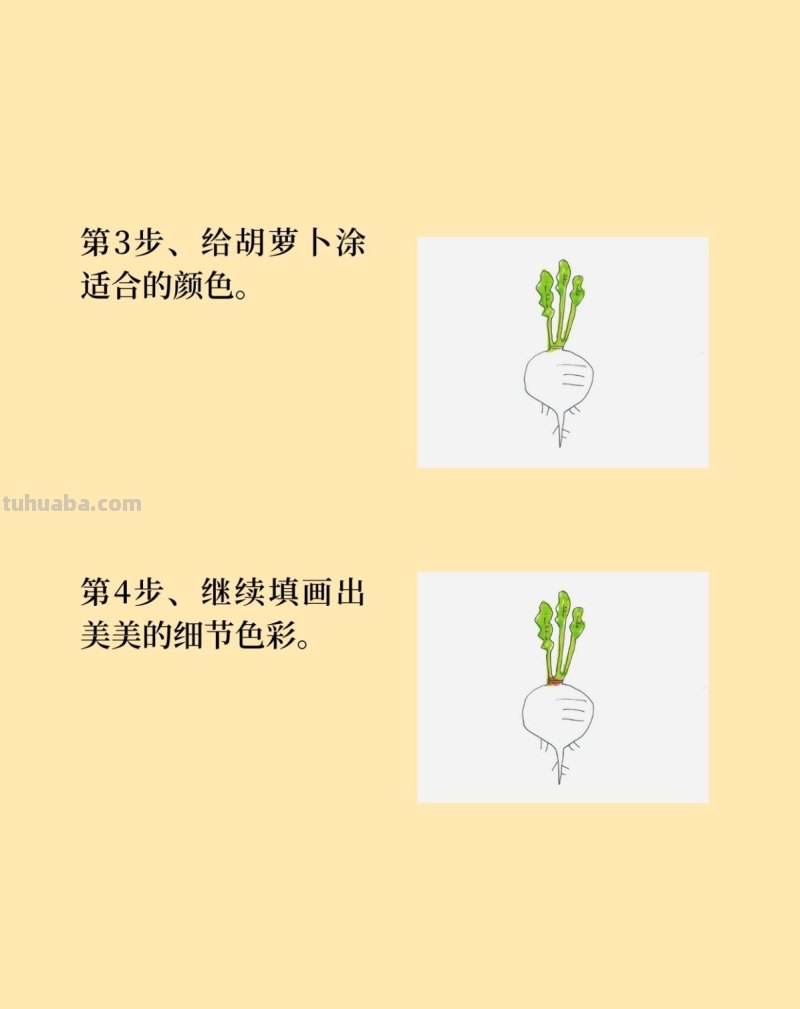 卡通萝卜简笔画画法图片