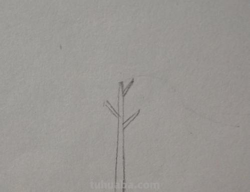 简笔画树怎么画 大树的简笔画怎么画？