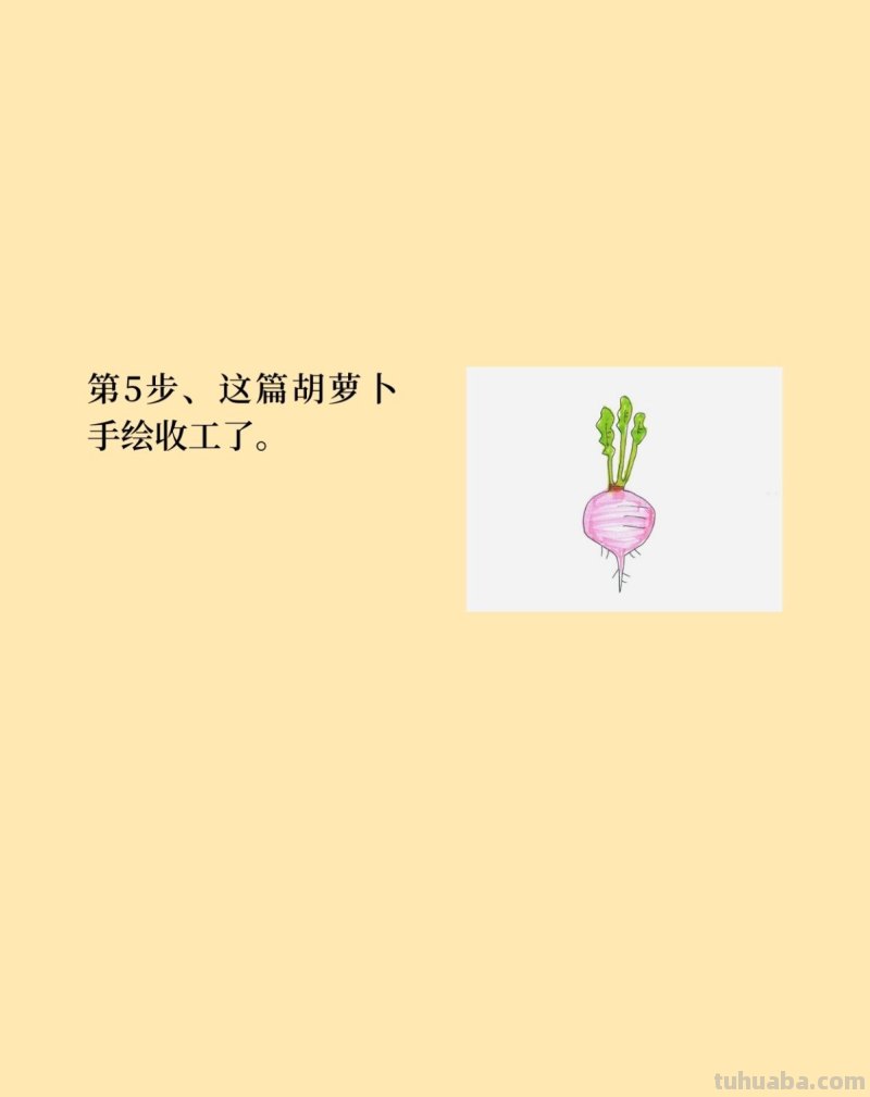 卡通萝卜简笔画画法图片
