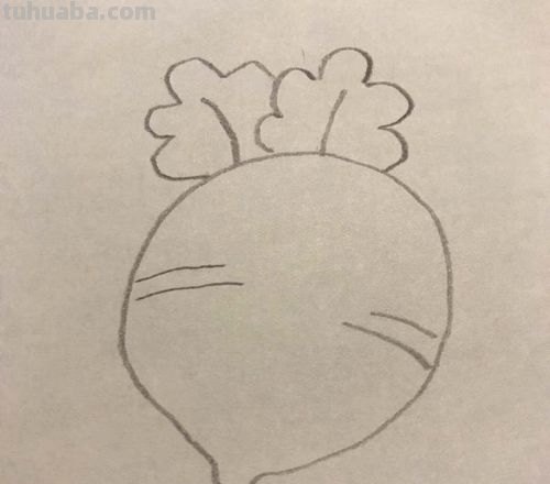 萝卜简笔画