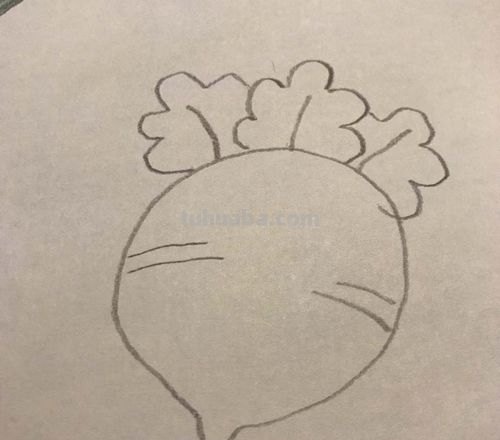 萝卜简笔画